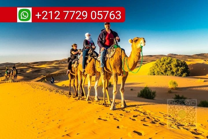 רכיבת גמלים ולילה במחנה במרזוגה - תמונת הספק