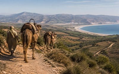 אסילה, כף ספרטל וגמלים מטנג'יר - הדמיה להמחשת סוג החוויה