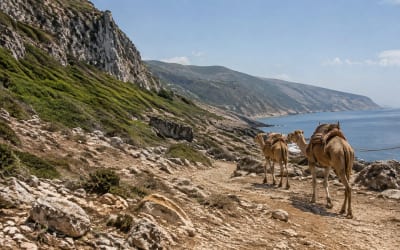 כף ספרטל, מערת הרקולס וגמלים בטנג'יר - הדמיה להמחשת סוג החוויה